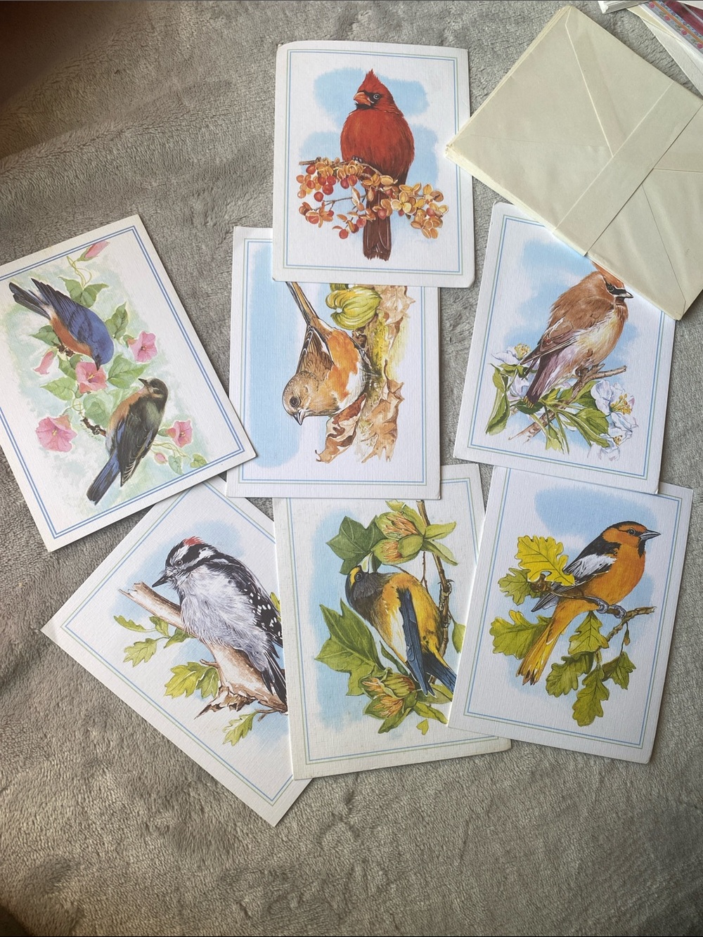 Set of Assorted Bird Ron SchreinervNote Cards in Red, Orange, Brown & Blue